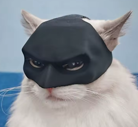 Cat Face Pillow Bat Cosplay Hat – Halloween Party Prop – Black Plastic Mask for Costume & Makeup