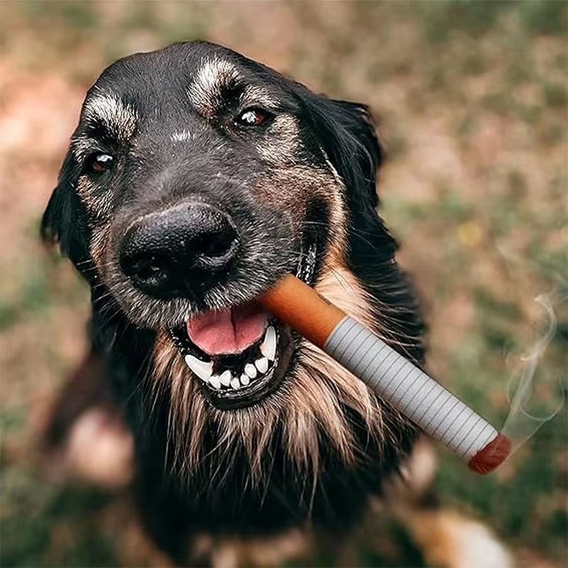 Get Your Pup Chewing with Our Hilarious Plush Cigarette Doll Toy – The Perfect Anti-Bite Buddy!