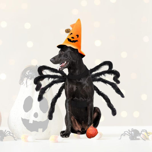 Transform Your Pet into a Halloween Star with WEKKOPET Spider Condiment Shirts - Perfect for Dogs and Cats of All Sizes!