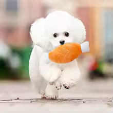 Interactive Squeaky Plush Dog Toy – Durable Chew Toy for Small Breeds