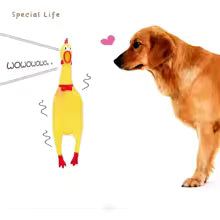 Squeaky Rubber Chicken Dog Toy – Funny Chew Toy for Pets