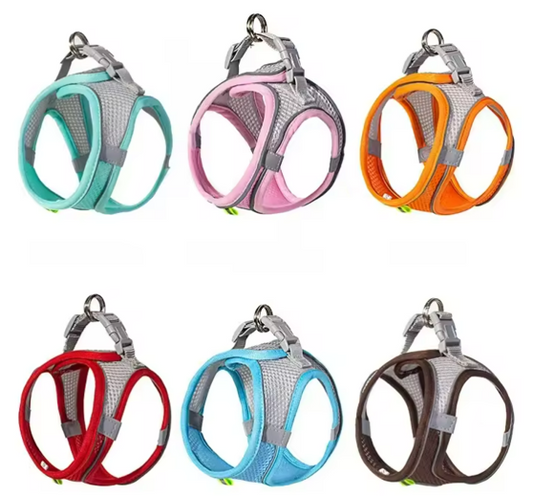 Dog Harness and Leash Set for Small Dogs & Cats – Adjustable Puppy Vest Harness with Outdoor Walking Leash