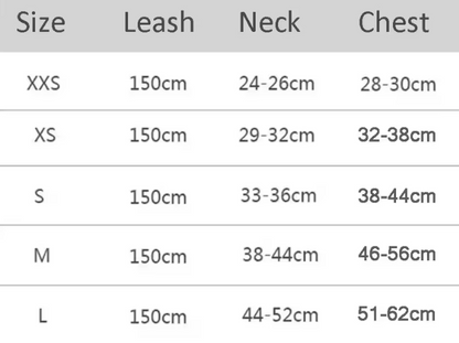 Dog Harness and Leash Set for Small Dogs & Cats – Adjustable Puppy Vest Harness with Outdoor Walking Leash