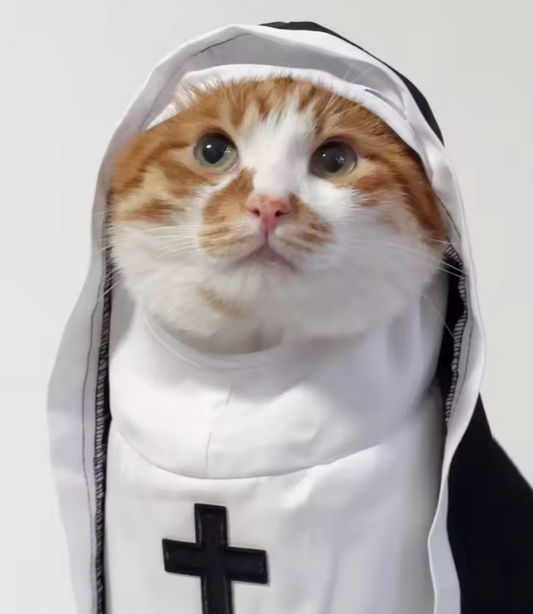 Funny Cat Cross Black Coat Costume – Halloween Cosplay Outfit for Small Pets – Cats, Dogs & Rabbits – Breathable Pet Dress Up