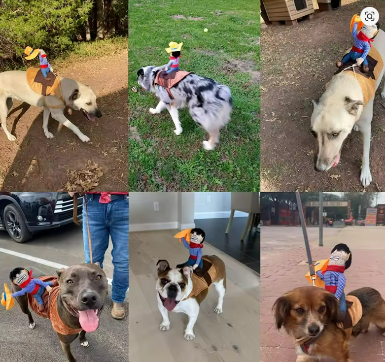 Funny Cowboy Dog Costume – Halloween Outfit & Pet Clothing for Small Dogs – French Bulldog, Pug & Puppy Dress Up Jacket