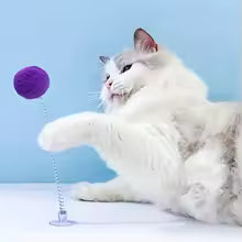 Suction Cup Spring Cat Toy – Interactive Plush Ball Scratcher (Random Color)
