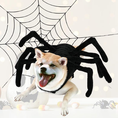 Transform Your Pet into a Halloween Star with WEKKOPET Spider Condiment Shirts - Perfect for Dogs and Cats of All Sizes!
